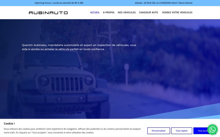 Screenshot of aubinauto.fr