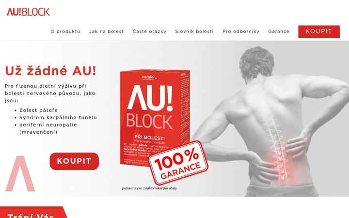 Screenshot of aublock.cz