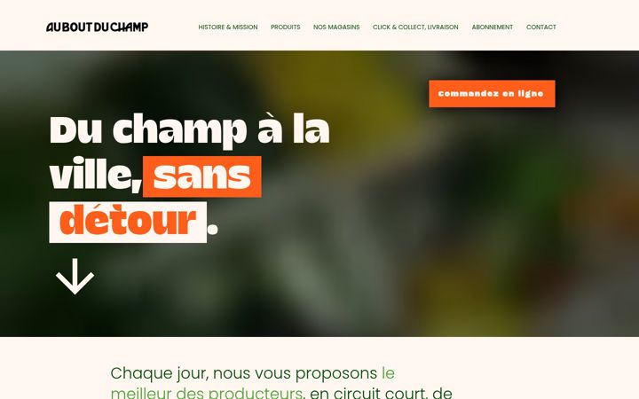 Zrzut ekranu auboutduchamp.com