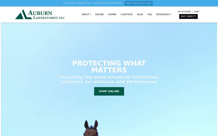 Snimka zaslona za auburnlabs.com