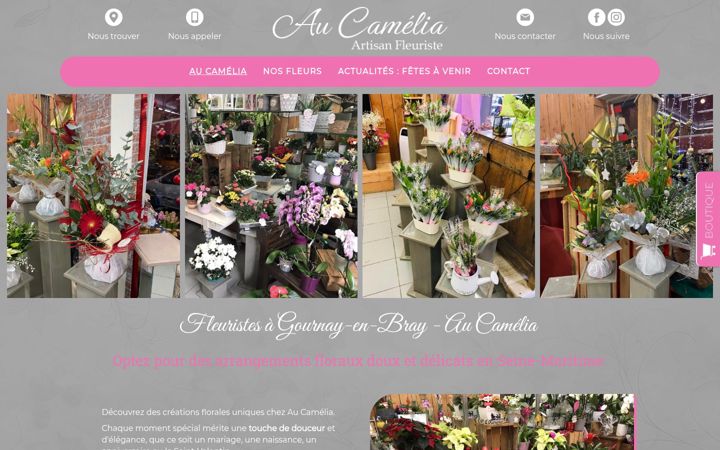 Screenshot of aucamelia76.fr