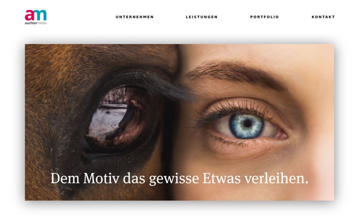 Skjámynd af auchtermedia.de