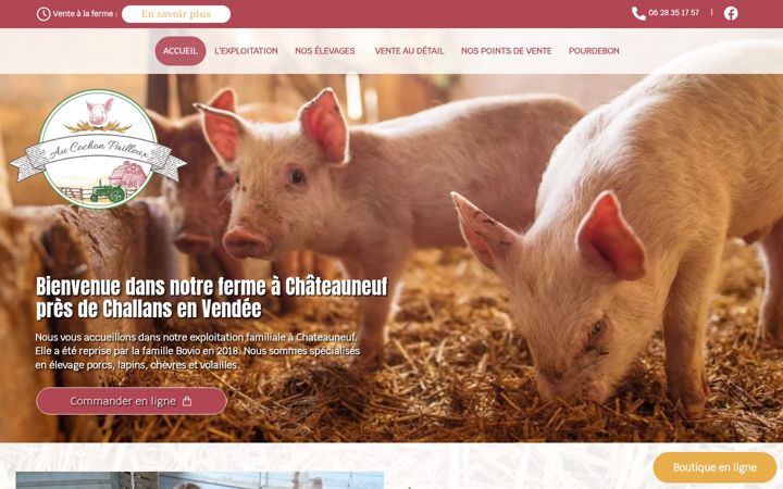Screenshot of aucochonpailleux.fr