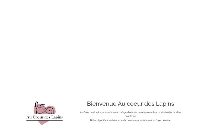 Screenshot of aucoeurdeslapins.com