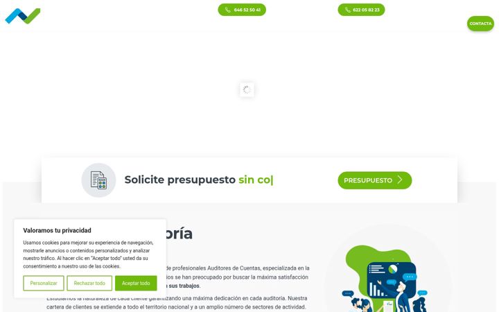 Screenshot of audagoraauditores.com