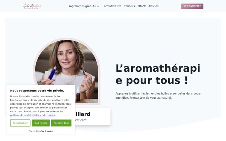 Skjermbilde av aude-maillard.fr