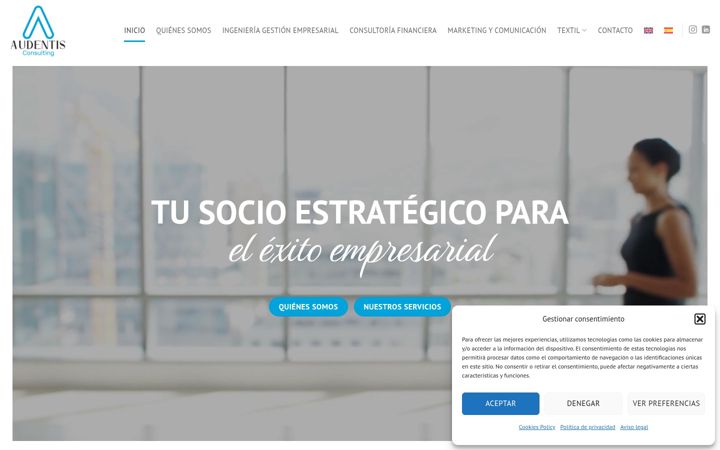 Screenshot of audentisconsulting.com