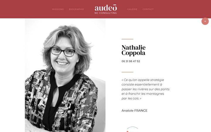Posnetek zaslona audeoncconsulting.fr