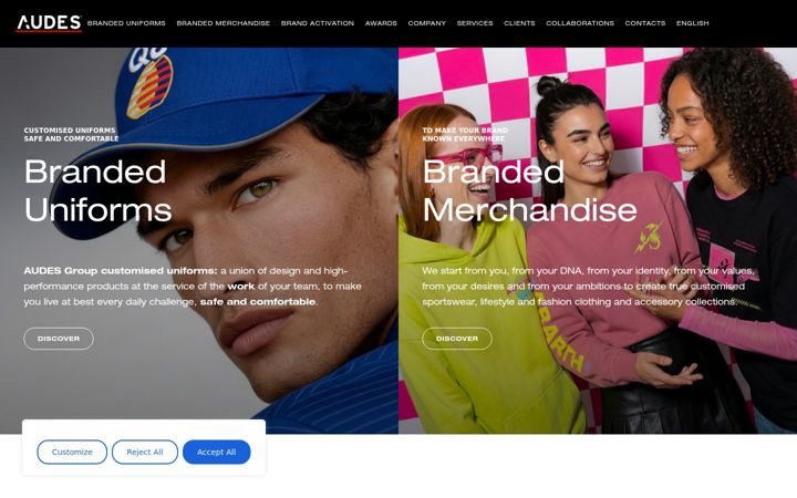 Screenshot of audes.com