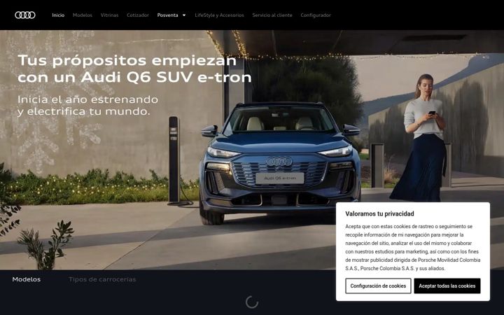 Ekraanipilt saidist audi-wsd.com