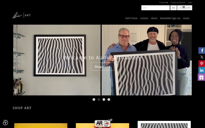 Screenshot of audiaart.com