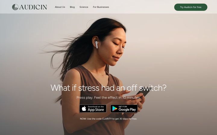 Screenshot di audicin.com