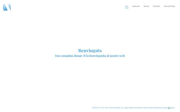 Screenshot di audicubic.com