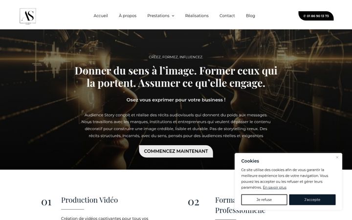 Screenshot di audiencestory.com