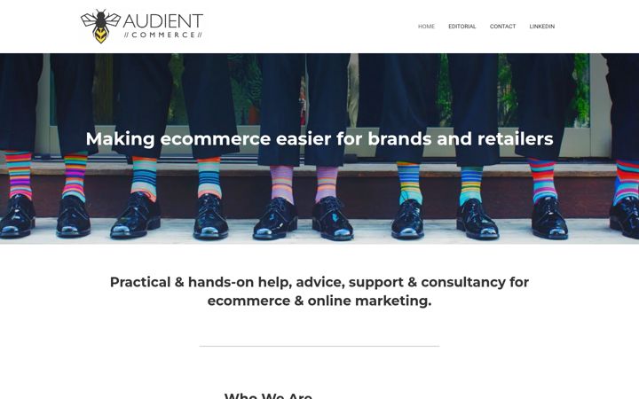 Screenshot of audientcommerce.co.uk