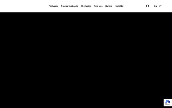 Screenshot of audifina.lt