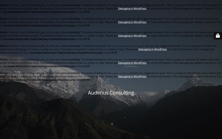 Screenshot of audimus.consulting