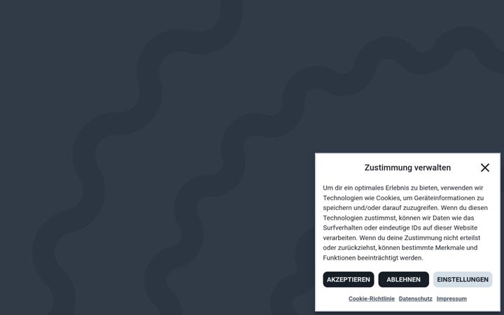 Screenshot of audimus.eu