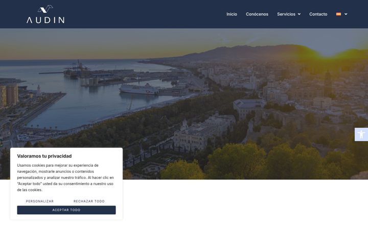 Screenshot of audin.es
