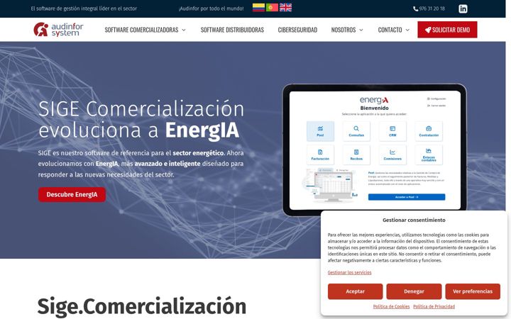 Screenshot ta' audinforsystem.es