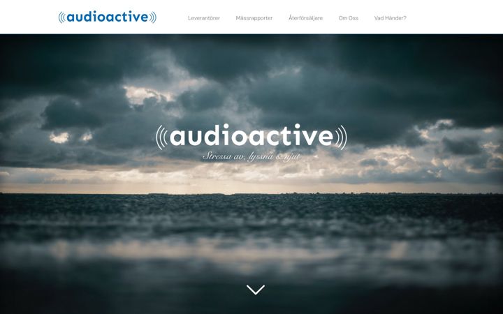 Screenshot of audioactive.se