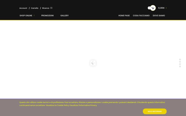 Screenshot of audiocarstudio.it
