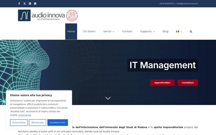 Screenshot of audioinnova.com
