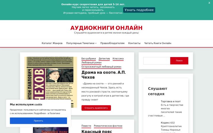 Screenshot of audioknigi-onlain24.ru