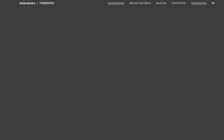 Screenshot von audiolab.lt