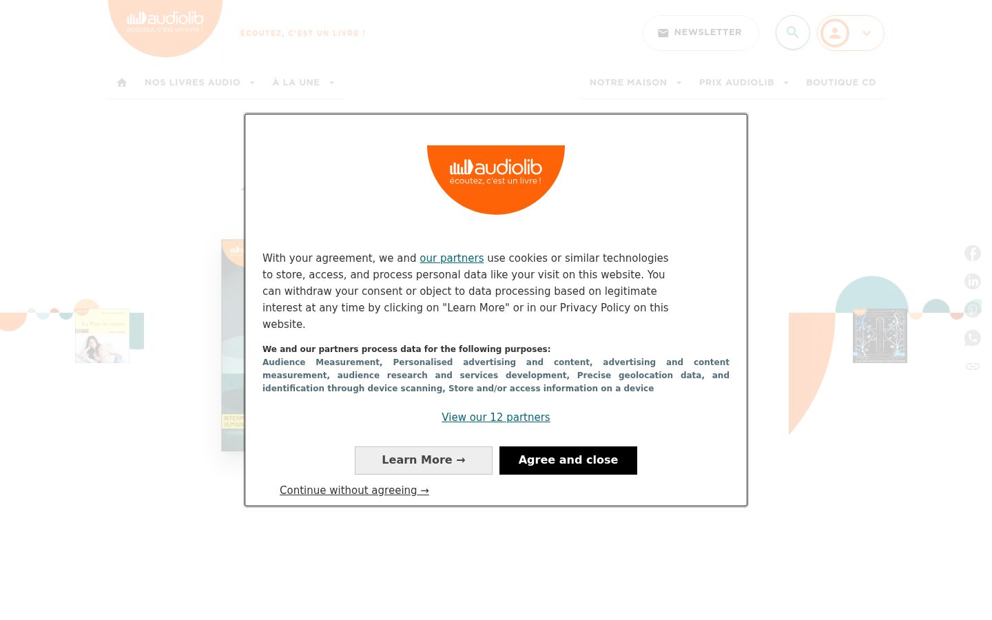 Screenshot of the consent banner shown before any interaction