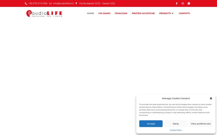 Screenshot of audiolifesrl.it
