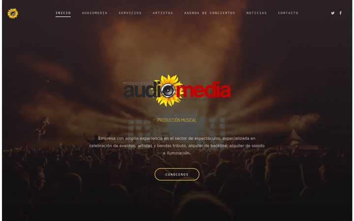 Screenshot of audiomediaex.com