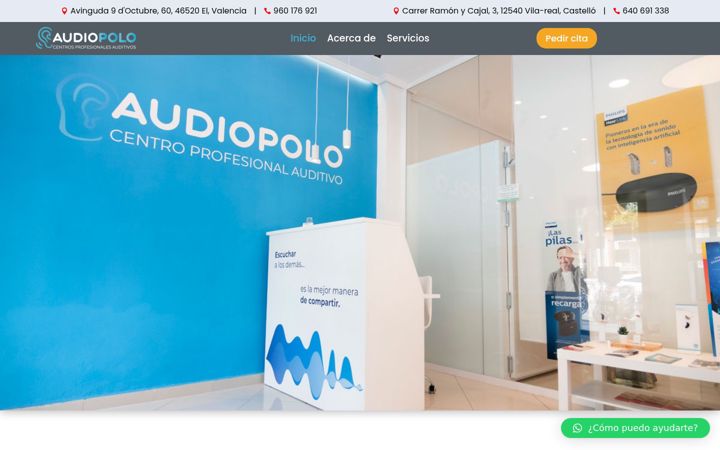 Zrzut ekranu audiopolo.com