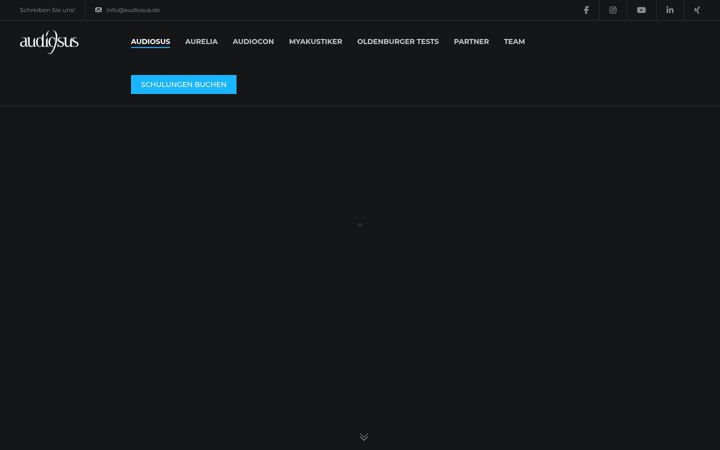 Screenshot di audiosus.info