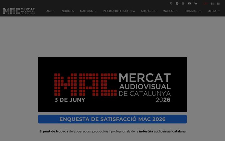 Screenshot of audiovisualmac.cat