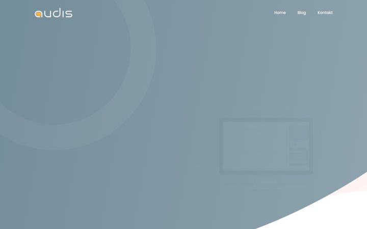 Screenshot of audis.de