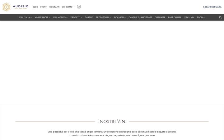 Screenshot of audisiovini.it