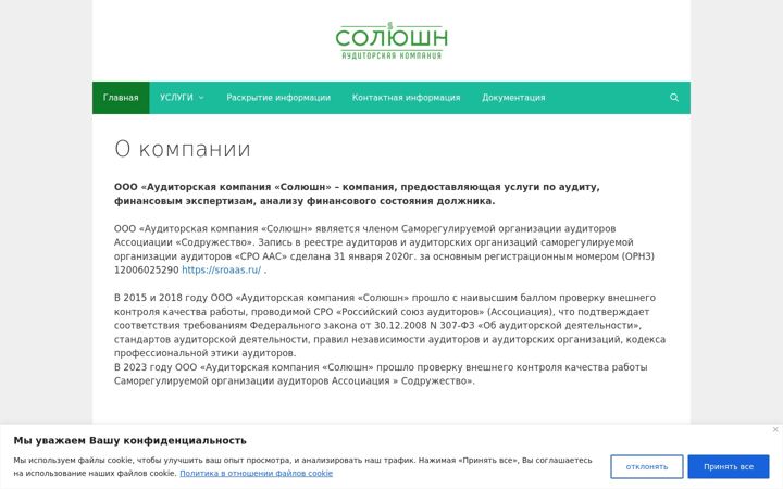 Screenshot of audit-solution.ru