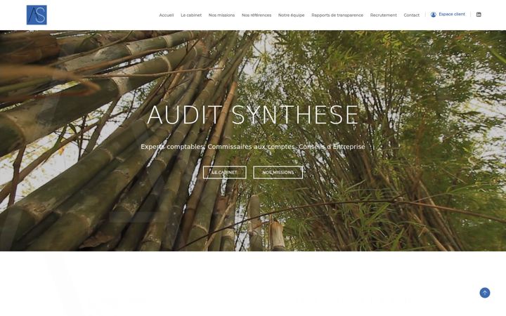 Screenshot of audit-synthese.fr
