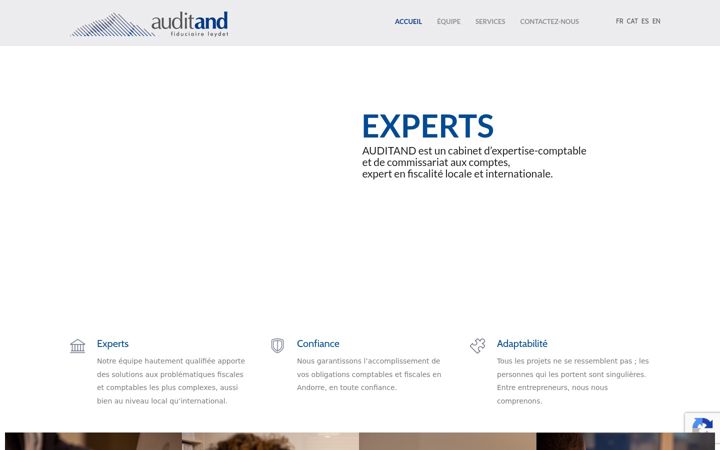Skjámynd af auditand.com