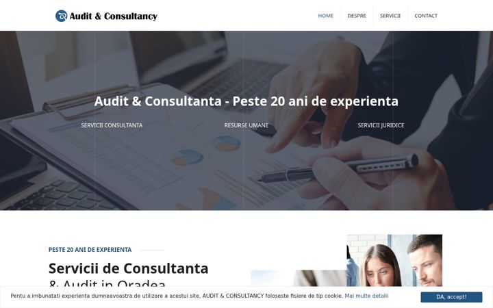Screenshot of auditandconsultancy.ro