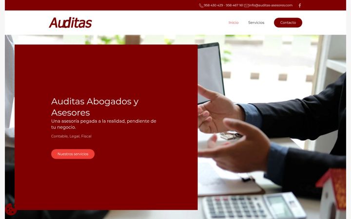 Screenshot of auditas-asesores.com