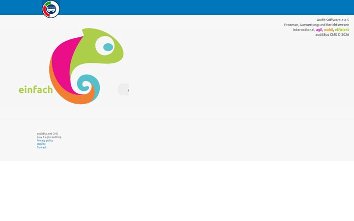 Screenshot of auditbus7.net
