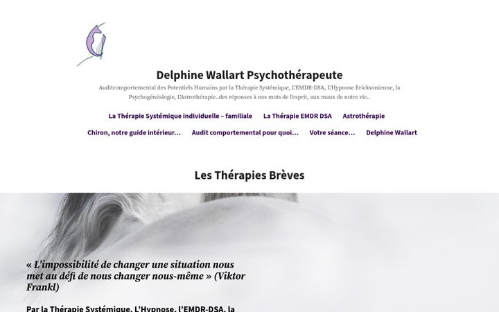 Képernyőkép: auditcomportemental.com