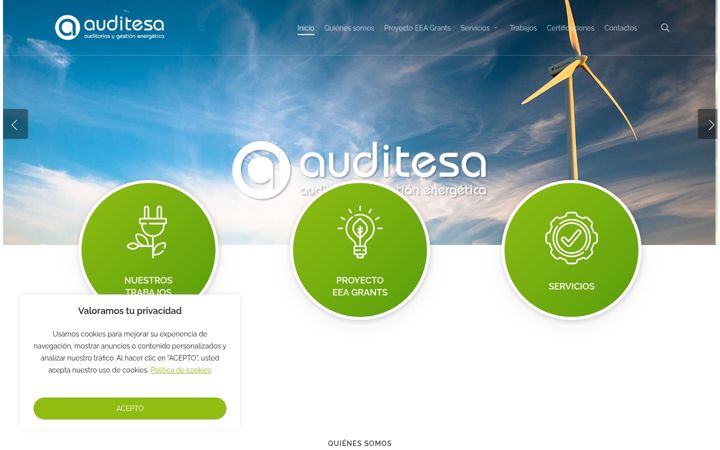 Screenshot of auditesa.com