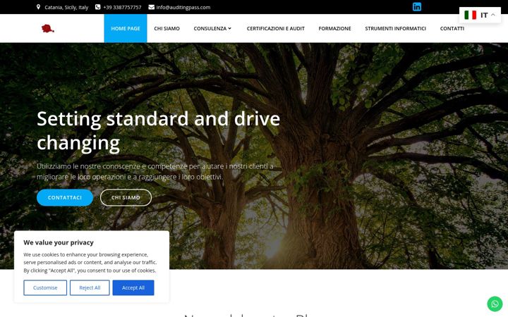 Screenshot of auditingpass.com