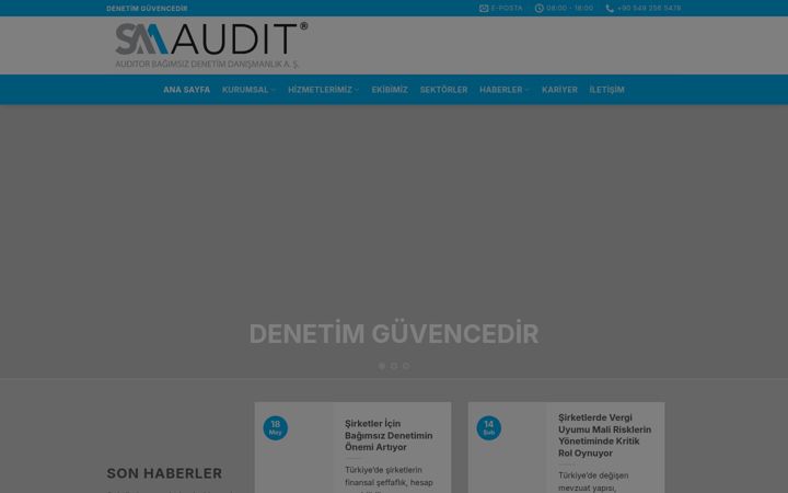 Screenshot of auditor.com.tr