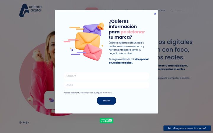 Screenshot of auditoradigital.com
