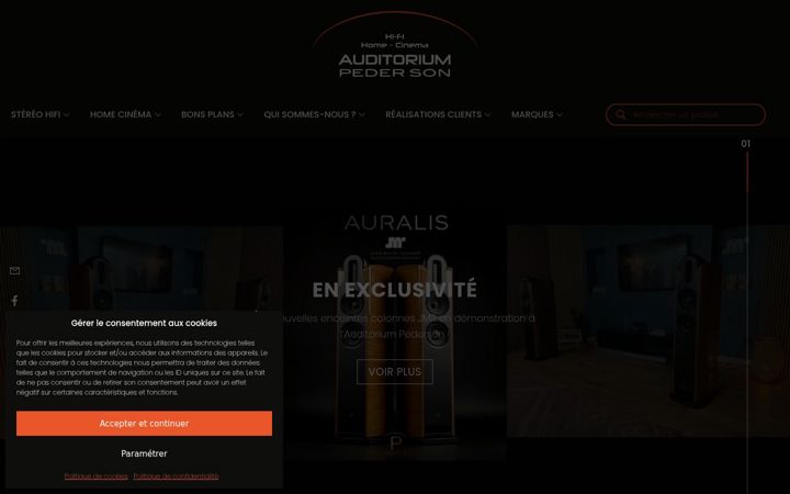 Screenshot of auditorium-pederson.com