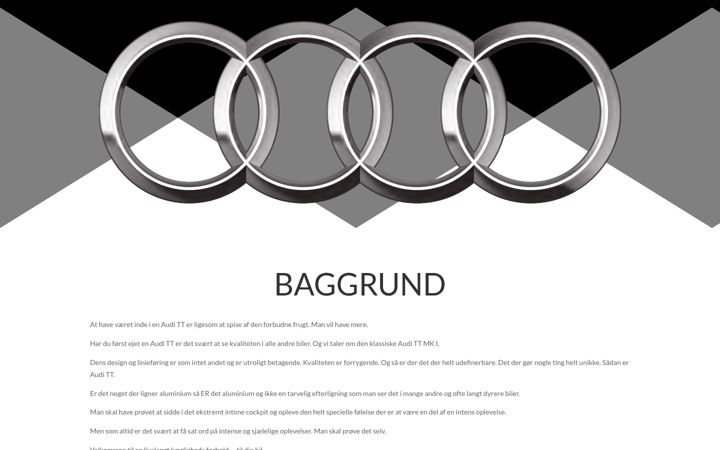 Screenshot of auditt.dk